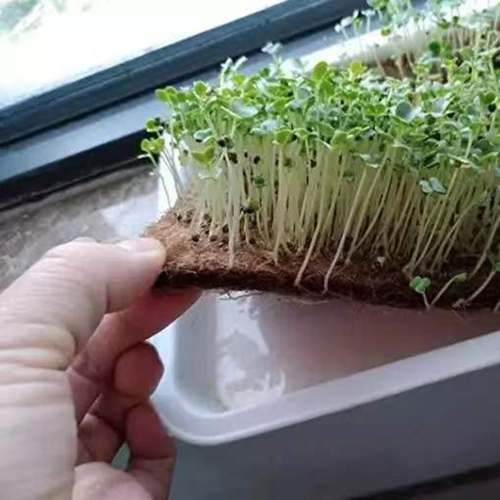 Biodegradable Bin Liner - Mata włóknista do kompostowania, mata do